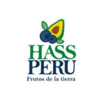 Hass peru