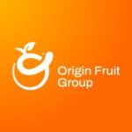 origin group